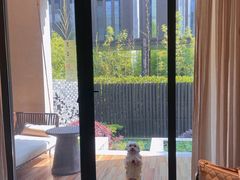 -上海崇明金茂凯悦酒店