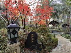 -苏州湾·王焰温泉