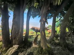 -国家自然博物馆