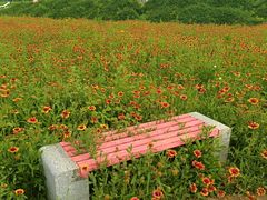 -君乐宝优致牧场
