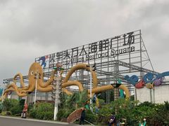 -四川小胡子海鲜(丁村万人海鲜广场店)