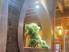-木王宴语·野生鲜菌火锅(玉河店)