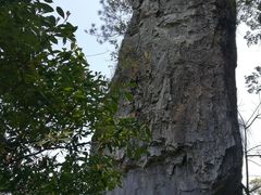 -福建天门山