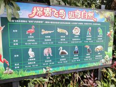 -广州长隆飞鸟乐园