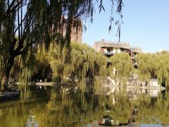 -西安市长乐公园