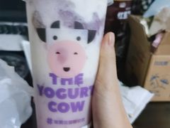 -一只酸奶牛(春熙路店)