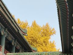 -国家图书馆·古籍馆