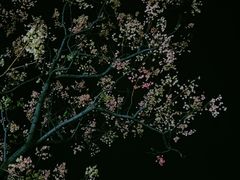 -秋水广场音乐喷泉