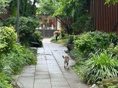-品渔味湖鲜馆(拈花湾店)