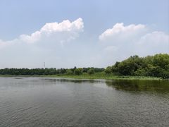 -溱湖国家湿地公园