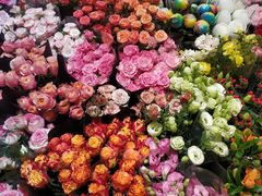 -双季花艺园艺市场(浦东店)
