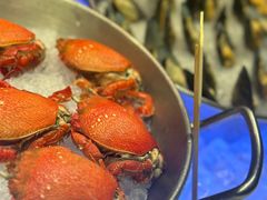 -凯菲厅海鲜姿造·海鲜自助·帝王蟹·龙虾(成都群光君悦酒店)