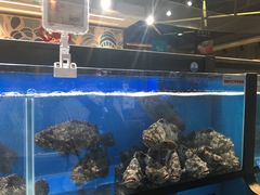 -盒马鲜生(曜一城店)