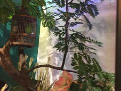 -佬麻雀·新湘菜(珠海金发购物中心店)