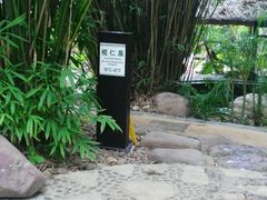 -三亚珠江南田温泉度假区