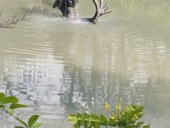 -汇龙潭