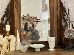 -侘寂甜品(自取店)