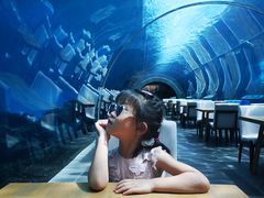 -海棠湾洲际-涛·海底餐厅·美人鱼·自助餐·海底隧道