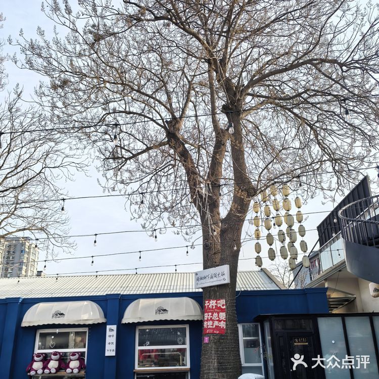 📌梧桐树下的咖啡☕｜不光香还超级浪漫