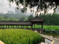 -龙头寺公园
