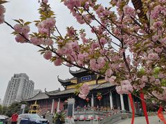 -长春观