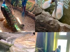 -海合安武汉极地海洋公园