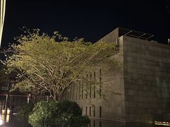 -三亚太阳湾柏悦酒店
