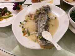 -亮庆餐厅·粤菜·早茶(篁庄店)