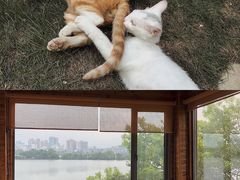 景观位-凡烟外慢生活体验馆