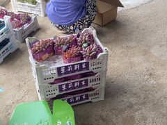 -马陆小张葡萄园农家乐