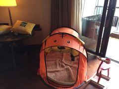 -上海崇明金茂凯悦酒店