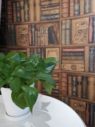 -海茱雅科技健康美容