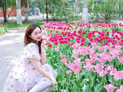 -朝阳公园游乐园