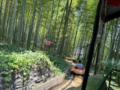 -宜兴张公洞