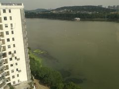 -弘毅大酒店(武汉大学国际学术交流中心店)