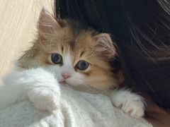 -联合动物医院(光谷诊疗中心)