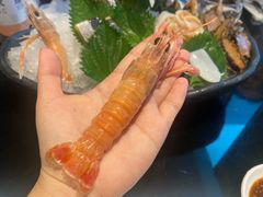 -Mr·Fish鱼鲜生海鲜放题(银泰in99店)