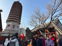 -西海子公园