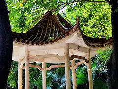 -晓港公园