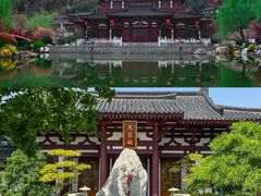 -《驼铃传奇》秀