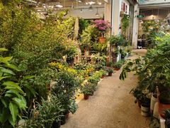 -双季花艺园艺市场(浦东店)