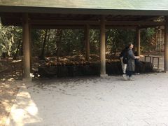 -热田神宫