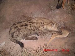 -石家庄市动物园