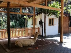 -楠溪江风景名胜区