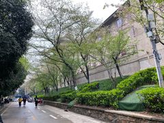 -武汉大学-樱园