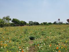 -歌斐颂巧克力小镇