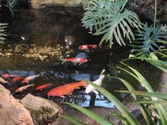 -聚缘堂·海鲜私房菜(松岭路店)