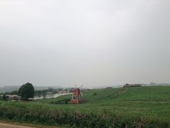-空港花田景区