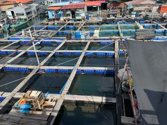 -蓝湾碧波·老字号·疍家非遗海上餐厅