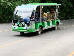 -西双版纳原始森林公园